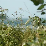 Ferienbauernhof Liesenberg Obstwiesenhaus Birnenbaum *