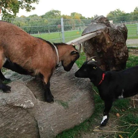 Ferienbauernhof Liesenberg Obstwiesenhaus Birnenbaum Prázdninový dům
