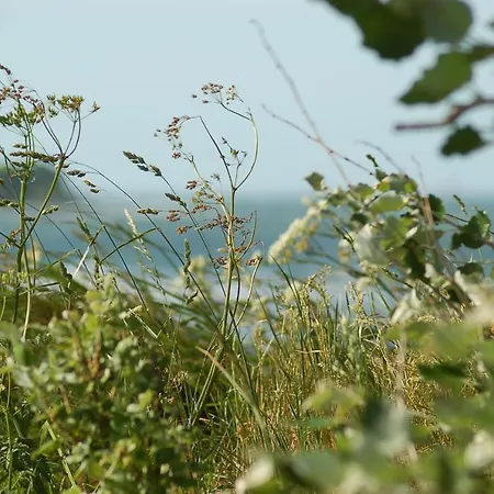 Ferienbauernhof Liesenberg Obstwiesenhaus Birnenbaum *