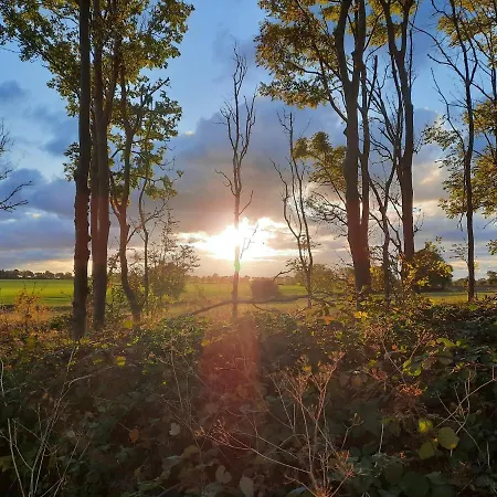 Ferienbauernhof Liesenberg Obstwiesenhaus Birnenbaum Fehmarn