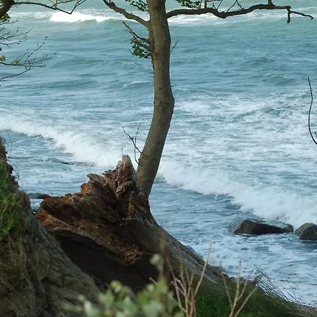 Ferienbauernhof Liesenberg Obstwiesenhaus Birnenbaum Prázdninový dům