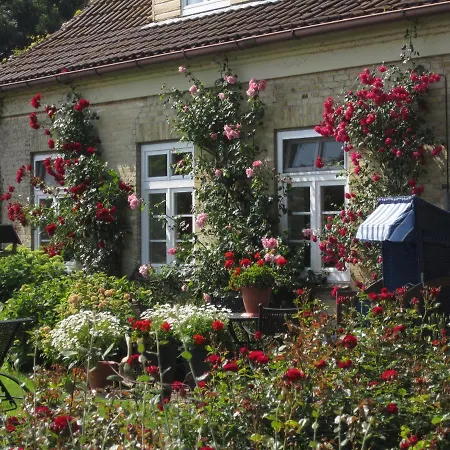 Ferienbauernhof Liesenberg Obstwiesenhaus Birnenbaum * フェーマルン