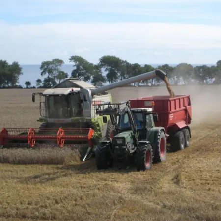 Prázdninový dům Ferienbauernhof Liesenberg Obstwiesenhaus Birnenbaum